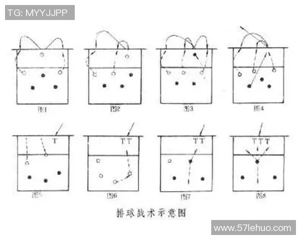 杭州排球队战术深度解析:从技术细节到团队协作的全面剖析 杭州排球队战术深度解析:从技术细节到团队协作的全面剖析