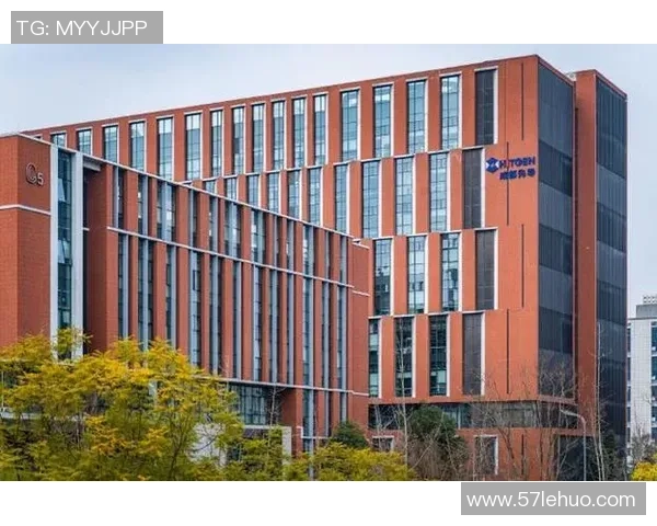 武汉篮球队转型之路的真实记录与发展历程探索 武汉篮球队转型之路的真实记录与发展历程探索