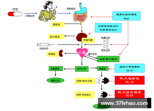 青少年体育俱乐部管理架构设计及优化方案