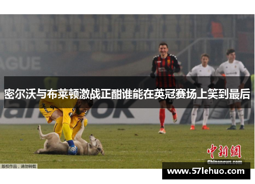 密尔沃与布莱顿激战正酣谁能在英冠赛场上笑到最后